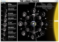 Lunar Phases, Cycle | Classroom Decoration, Wall Poster | Level 2 (Digital Download)