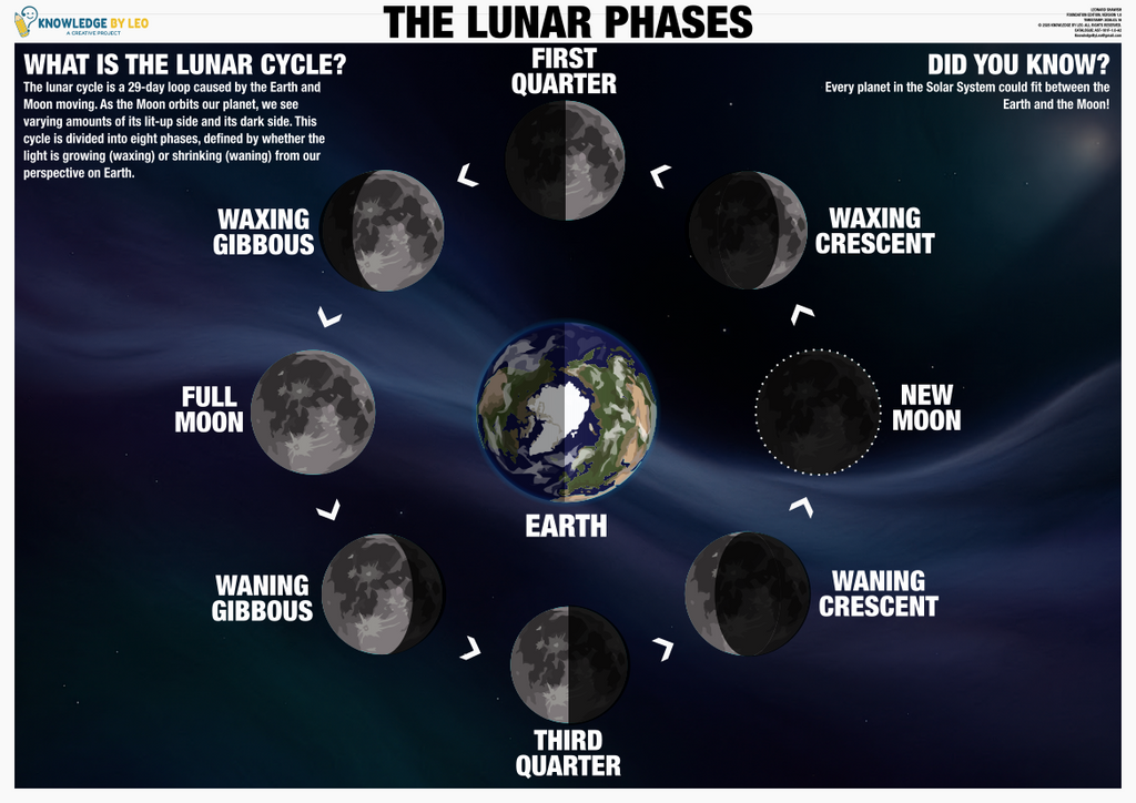 Diagram of the lunar phases with labeled stages and Earth's position.