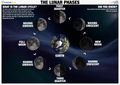 Diagram of the lunar phases with labeled stages and Earth's position.