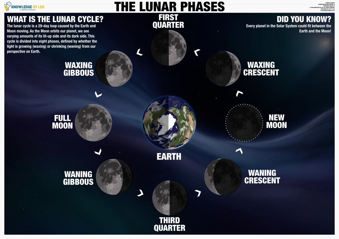 Diagram of the lunar phases with labeled stages and Earth's position.