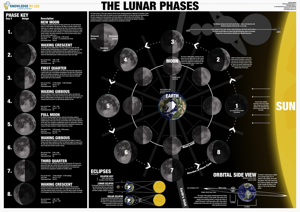 Diagram of lunar phases with labeled phases and orbital view.