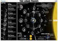 Lunar Phases, Cycle | Classroom Decoration, Wall Poster | Level 3 (Digital Download)