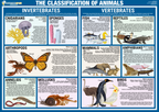 Classification of Animals | Classroom Decoration, Wall Poster | Level 2