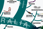 Evolutionary tree of animals with various animal forms and classifications.