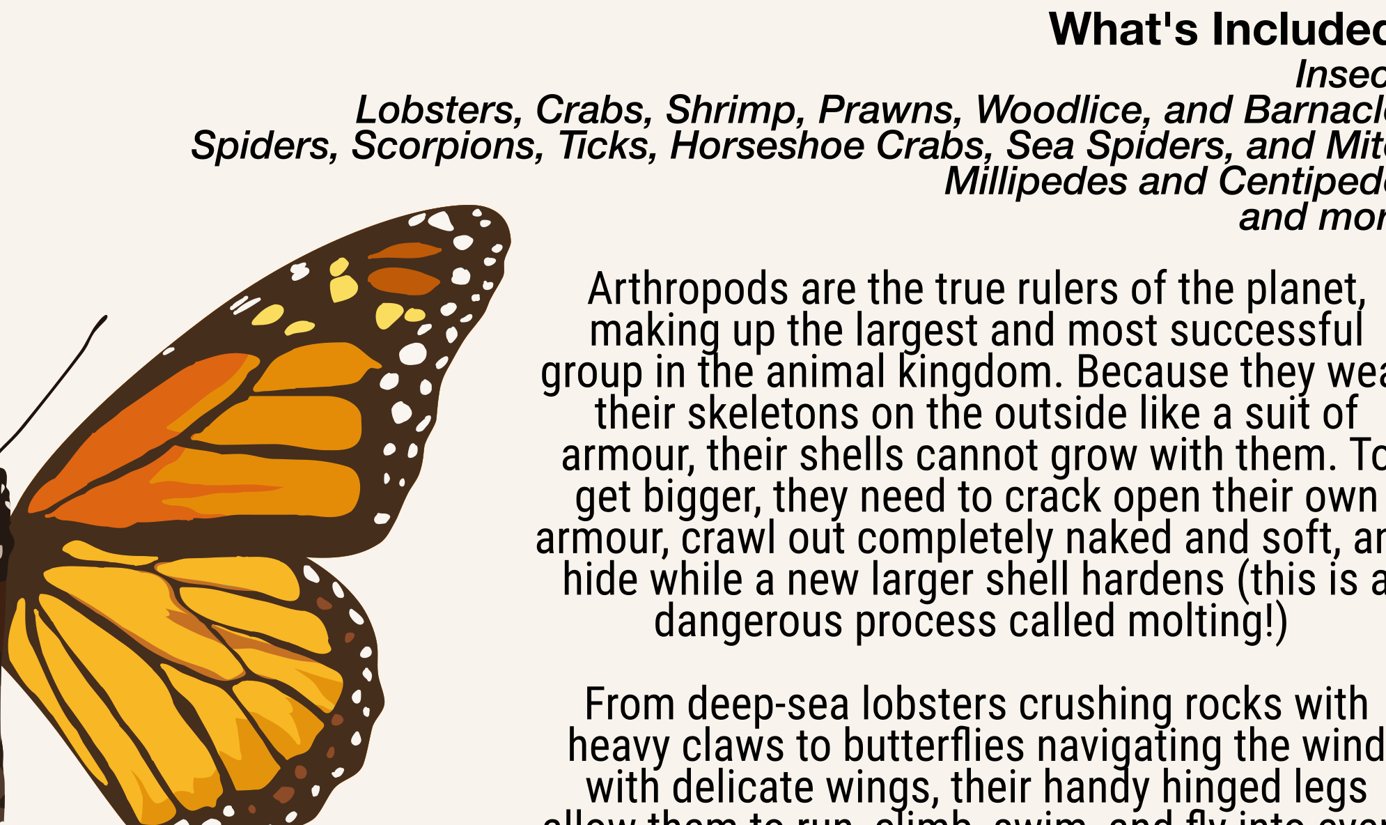 Classification of Animals | Classroom Decoration, Wall Poster | Level 2