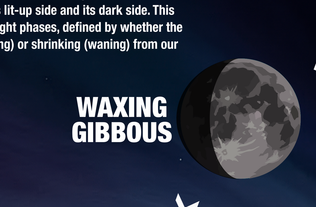 Lunar Phases, Cycle | Classroom Decoration, Wall Poster | Level 1 (Digital Download)