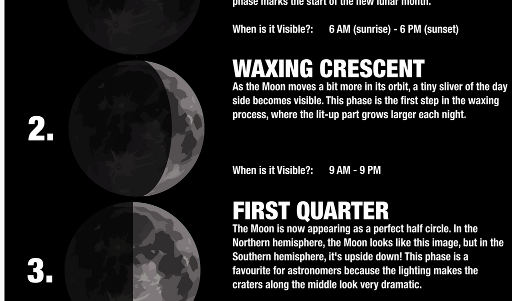 Lunar Phases, Cycle | Classroom Decoration, Wall Poster | Level 2 (Digital Download)