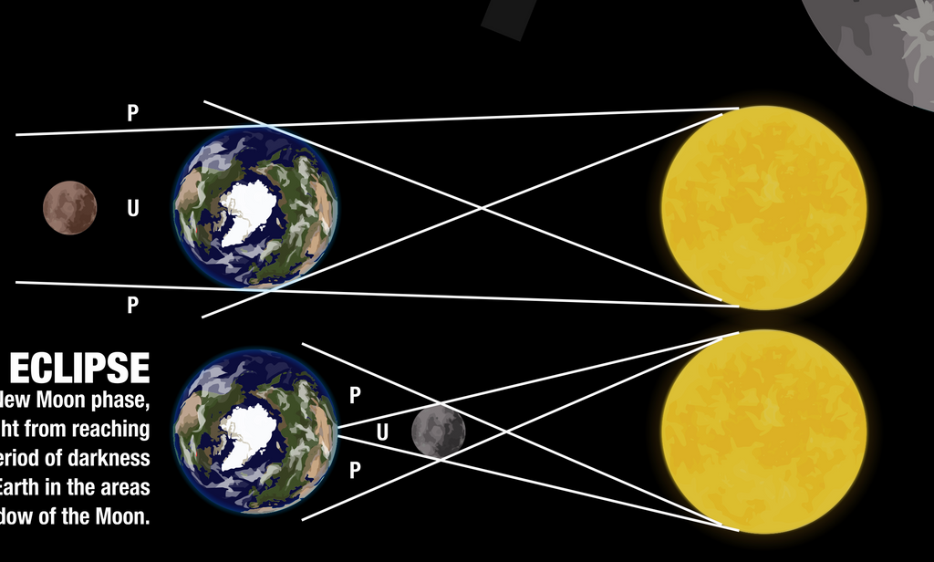 Lunar Phases, Cycle | Classroom Decoration, Wall Poster | Level 3 (Digital Download)