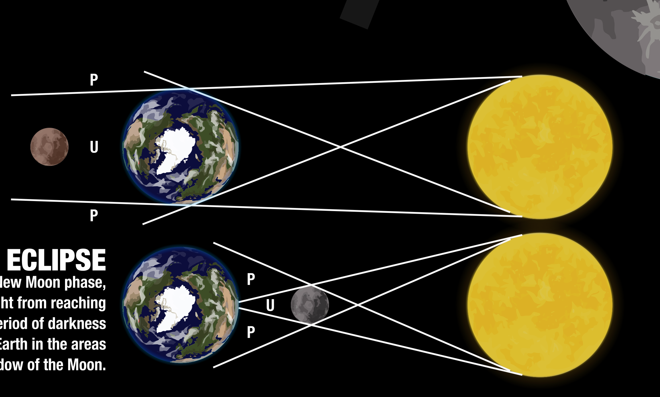 Lunar Phases, Cycle | Classroom Decoration, Wall Poster | Level 3